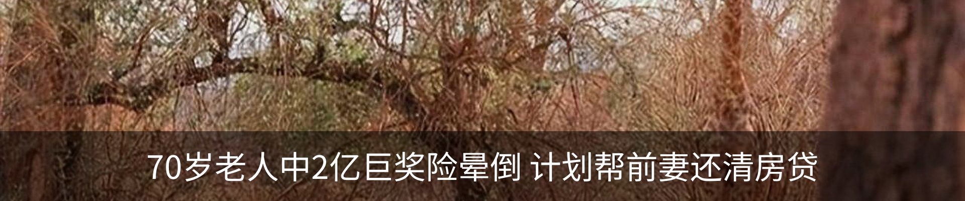 资讯动态